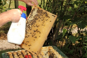 Varroa-Behandlung mit Sprühnebel